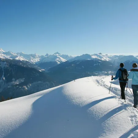Soldanella By Interhome * Crans-Montana