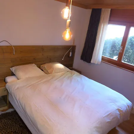 Lägenhet Soldanella By Interhome Crans-Montana